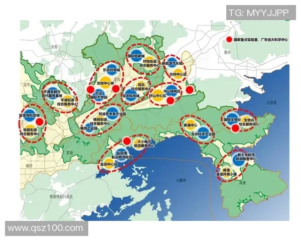 深圳排球队战术解析与发展策略的深度探讨与思考