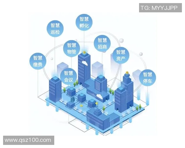 上海羽毛球队的转型之路：深度解析与未来展望